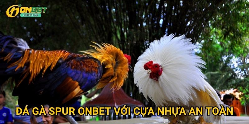 Đá gà spur Onbet - Phong cách đá gà Philippines 2 Đá gà spur Onbet với cựa nhựa an toàn