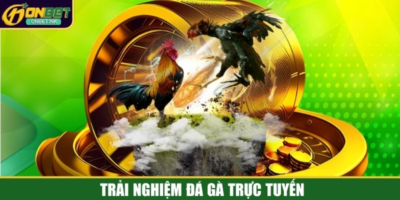 Trải nghiệm Đá Gà trực tuyến